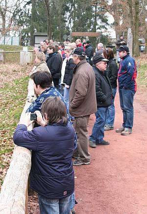 Bild: Vereinsmitglieder im Wolfpark Merzig