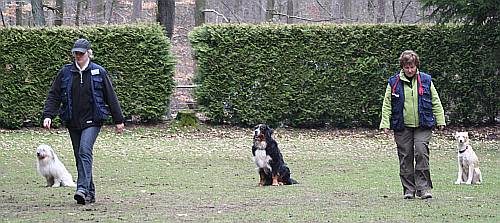 Ablage der Obedience Hunde